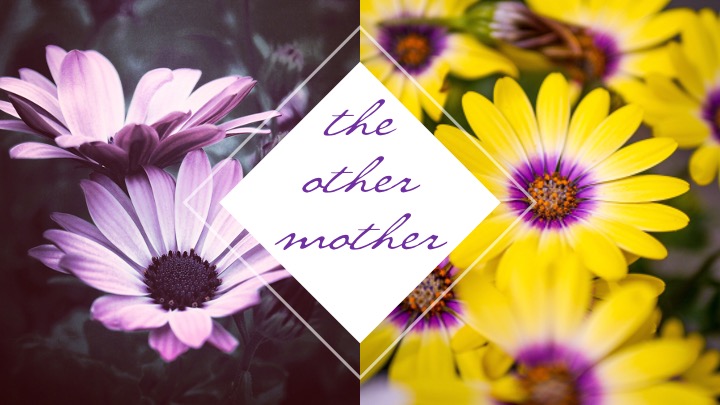 The Other Mother: Biological Vs. Adoptive Motherhood